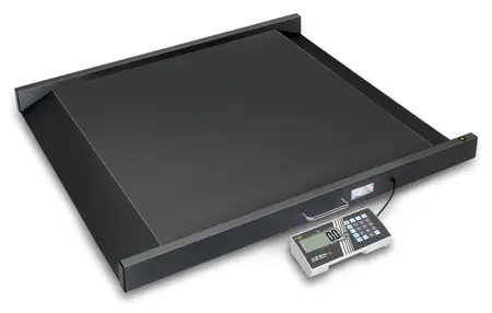 Kern MWS Bariatric Scale